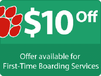 Special Offer For Boarding